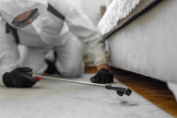 Professional Pest Control technician working in Manatee County County, FL